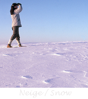Galerie Neige
